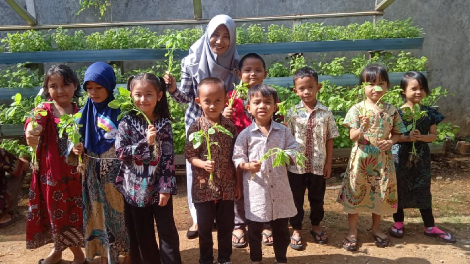 Serunya Anak-Anak PAUD Bait Al Hikmah Belajar Menanam dan Panen Sayuran